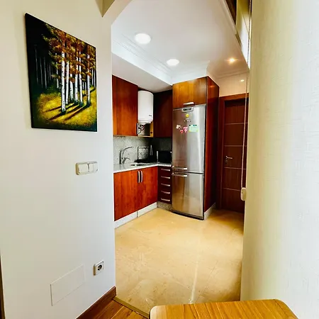 Apartment Centrico Con Garaje *